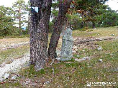 Siete Picos:Senda Herreros,Camino Schmid(Schmidt); mejores rutas senderismo madrid; excursiones día